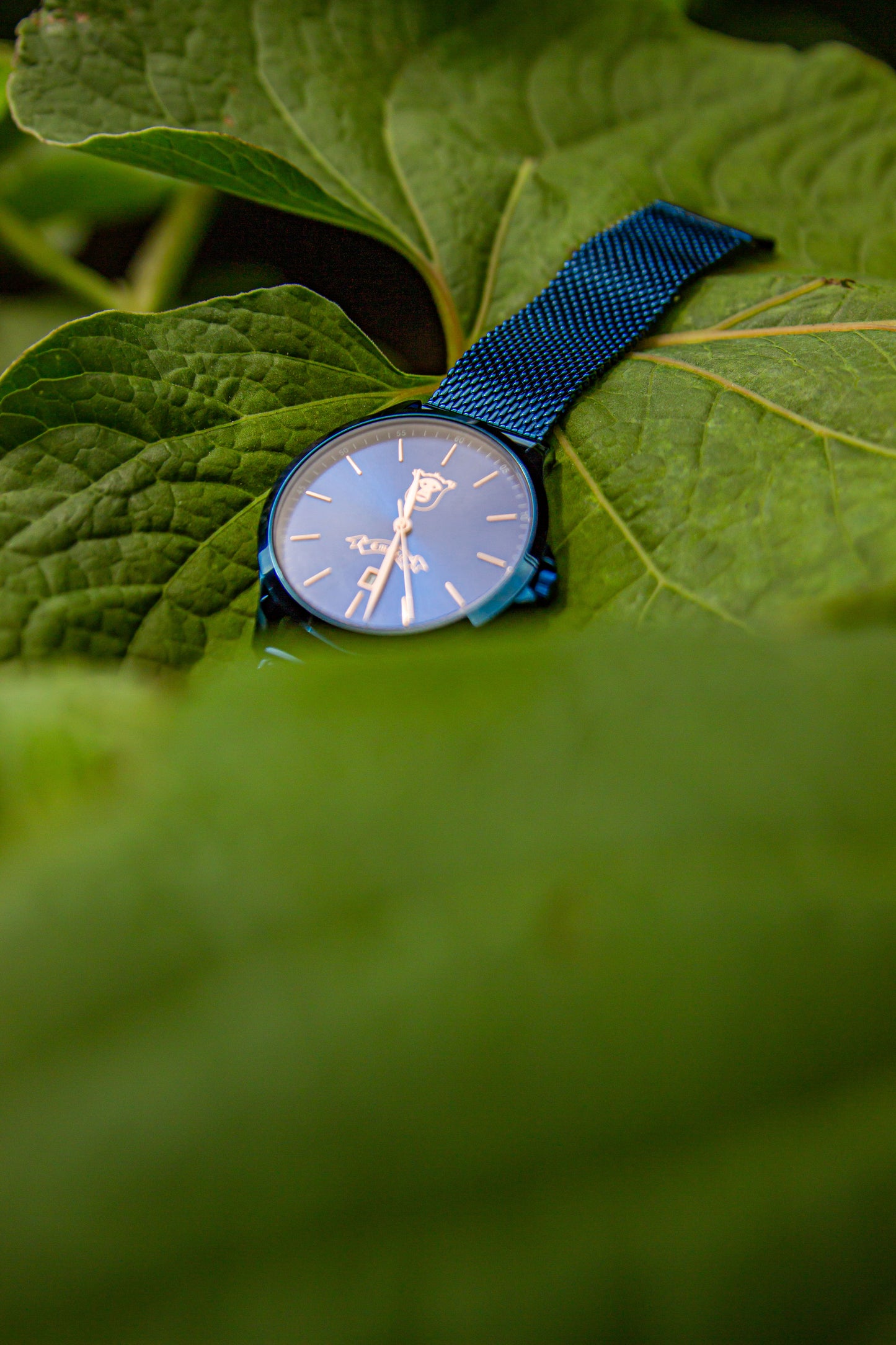 Embleu: Sapphire Blue